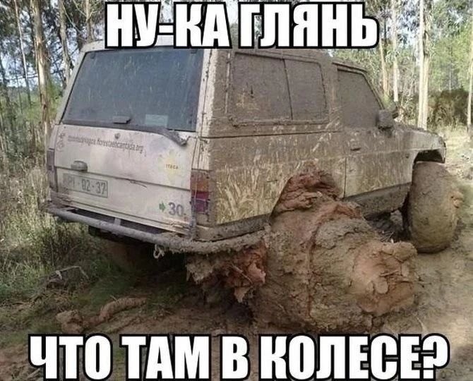 НУ-КА ГЛЯНЬ ЧТО ТАМ В КОЛЕСЕ?