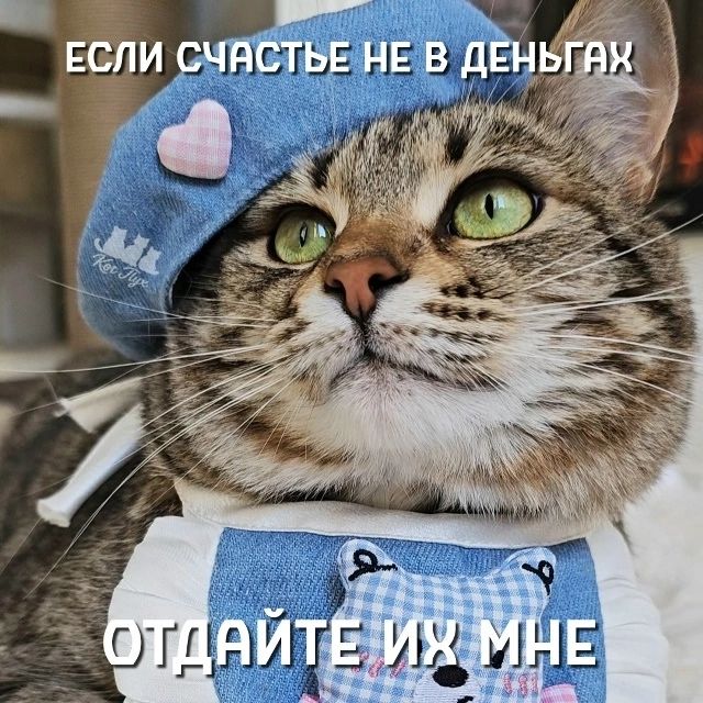 Если счастье не в деньгах, отдайте их мне