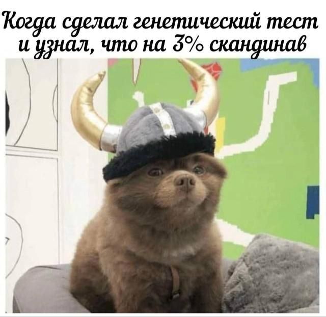 Когда сделал генетический тест и узнал, что на 3% скандинав