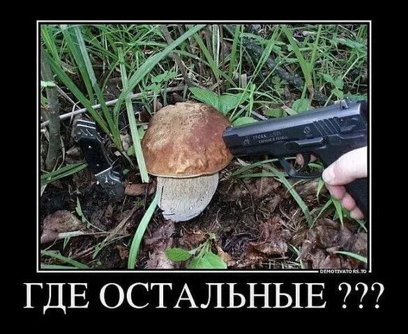 ГДЕ ОСТАЛЬНЫЕ ???