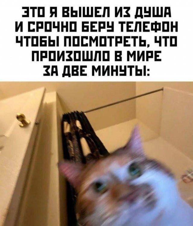ЭТО Я ВЫШЕЛ ИЗ ДУША И СРОЧНО БЕРУ ТЕЛЕФОН ЧТОБЫ ПОСМОТРЕТЬ, ЧТО ПРОИЗОШЛО В МИРЕ ЗА ДВЕ МИНУТЫ: