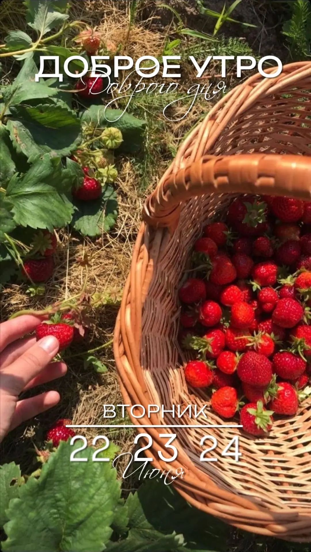 ДОБРОЕ УТРО Доброго дня ВТОРНИК 22 23 24 Июня