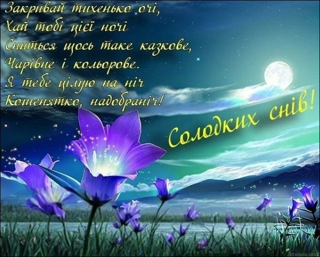 Закривай тихенько очі, Хай тобі цієї ночі Сниться щось таке казкове, Чарівне і кольорове. Я тебе цілую на ніч Кошенятко, надобраніч! Солодких снів!