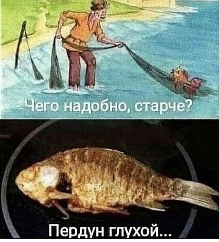 Чего надобно, старче? Пердун глухой...