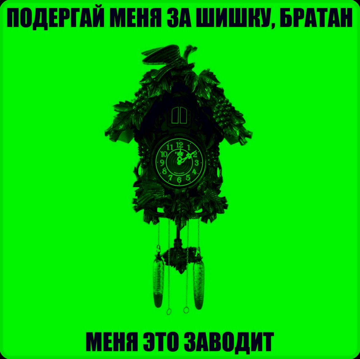 ПОДЕРГАЙ МЕНЯ ЗА ШИШКУ, БРАТАН МЕНЯ ЭТО ЗАВОДИТ