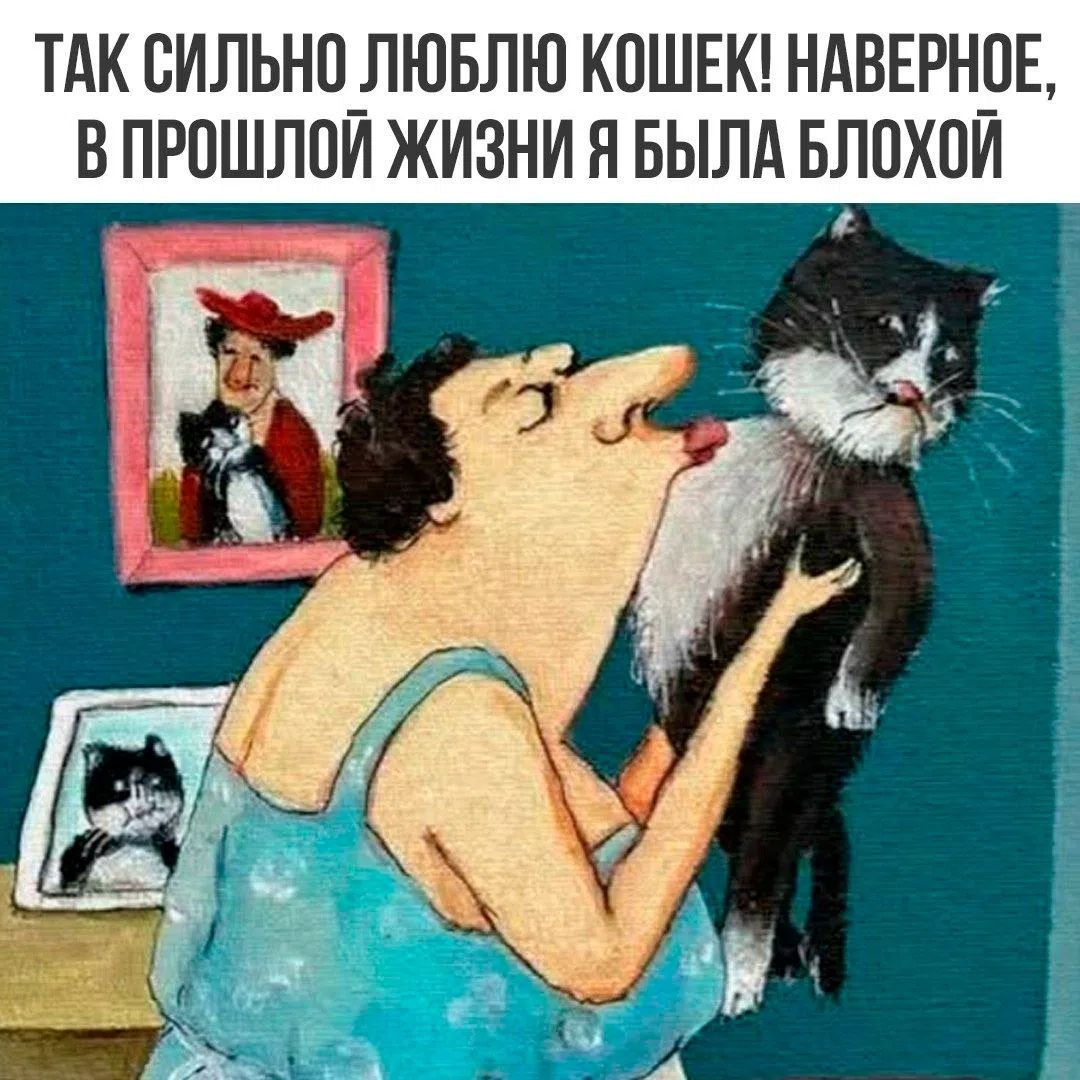 ТАК СИЛЬНО ЛЮБЛЮ КОШЕК! НАВЕРНОЕ, В ПРОШЛОЙ ЖИЗНИ Я БЫЛА БЛОХОЙ