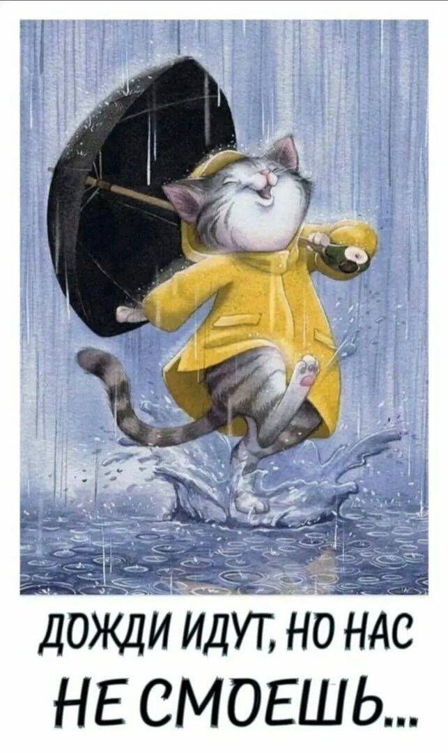 ДОЖДИ ИДУТ, НО НАС НЕ СМОЕШЬ...