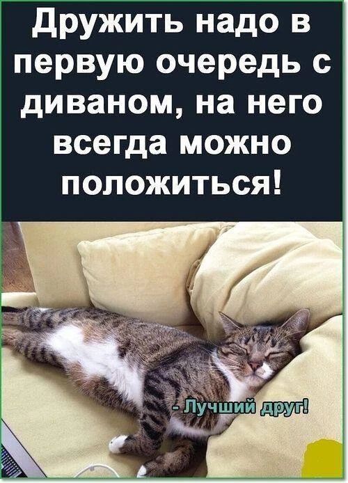 Дружить надо в первую очередь с диваном, на него всегда можно положиться! - Лучший друг!