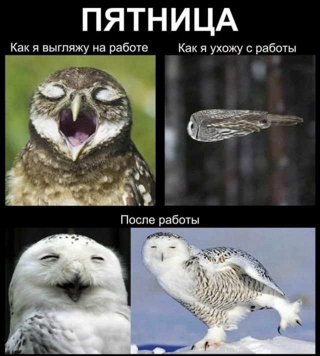 ПЯТНИЦА Как я выгляжу на работе Как я ухожу с работы После работы