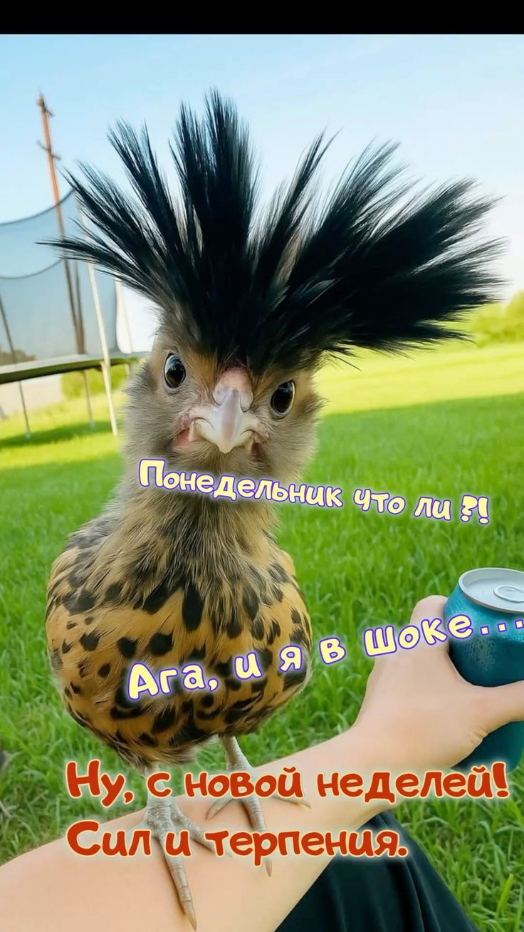 Понедельник что ли?! Ага, и я в шоке... Ну, с новой неделей! Сил и терпения.