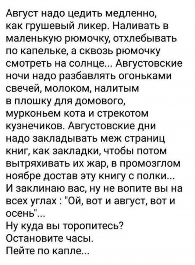 Август надо цедить медленно, как грушевый ликер. Наливать в маленькую рюмочку, отхлебывать по капельке, а сквозь рюмочку смотреть на солнце... Августовские ночи надо разбавлять огоньками свечей, молоком, налитым в плошку для домового, мурконьем кота и стрекотом кузнечиков. Августовские дни надо закладывать меж страниц книг, как закладки, чтобы
