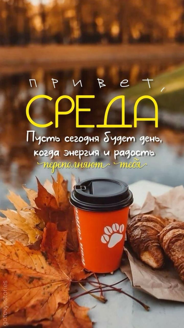 Привет, среда! Пусть сегодня будет день, когда энергия и радость переполняют тебя