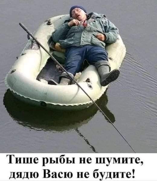 Тише рыбы не шумите, дядю Васю не будите!