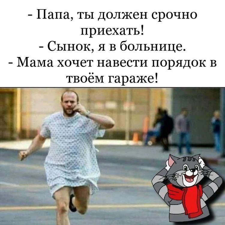 Папа, ты должен срочно приехать! Сынок, я в больнице. Мама хочет навести порядок в твоём гараже!