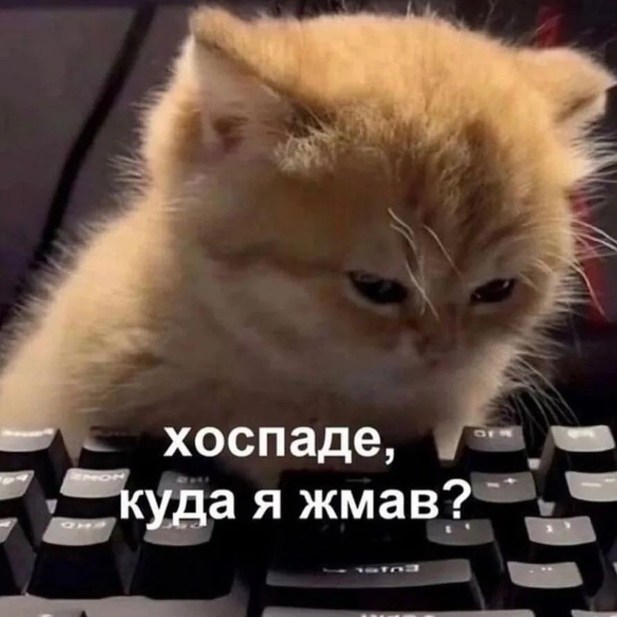 хоспаде, куда я жмав?