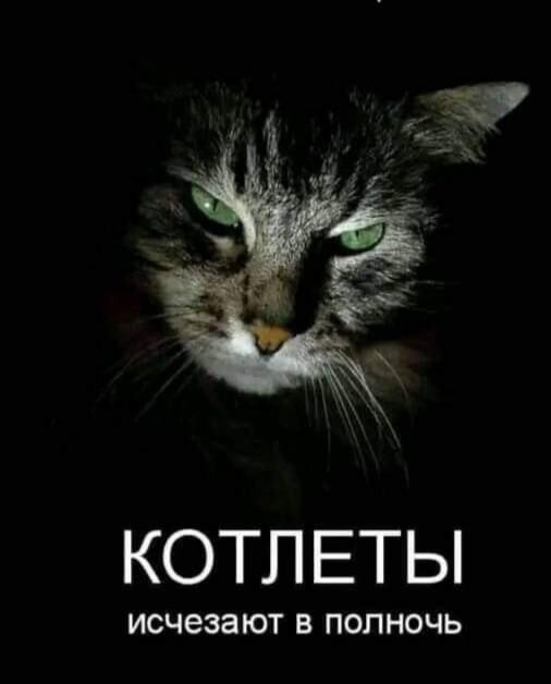 КОТЛЕТЫ исчезают в полночь