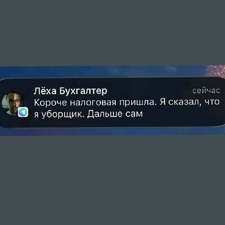 Лёха Бухгалтер сейчас Короче налоговая пришла. Я сказал, что я уборщик. Дальше сам