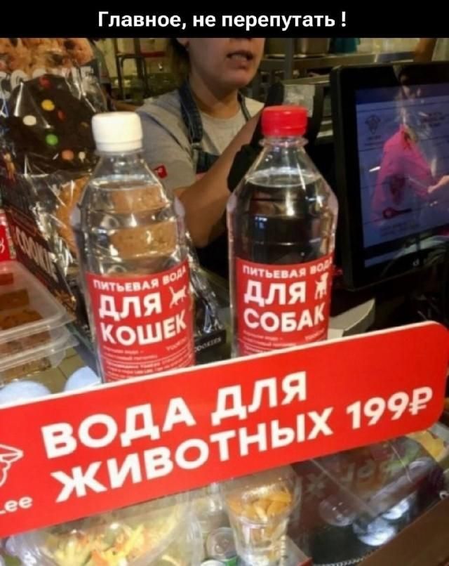 Главное, не перепутать! Питьевая вода для кошек. Питьевая вода для собак. Вода для животных 199₽