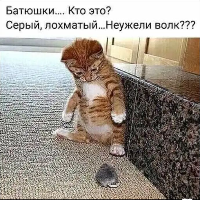 Батюшки.... Кто это? Серый, лохматый...Неужели волк???