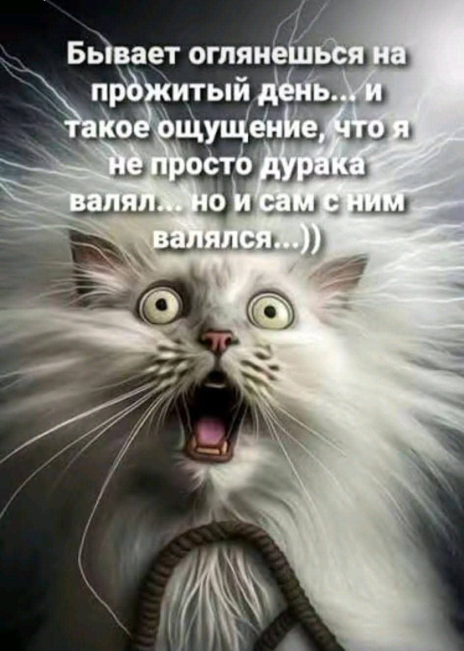 Бывает оглянешься на прожитый день... и такое ощущение, что я не просто дурака валял... но и сам с ним валялся...))