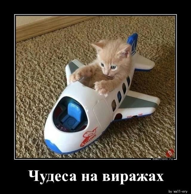 Чудеса на виражах