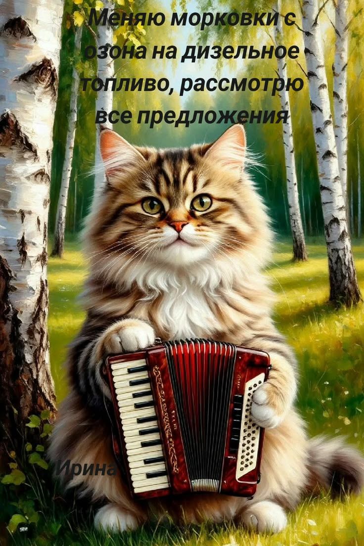 Меняю морковки с озона на дизельное топливо, рассмотрю все предложения Ирина