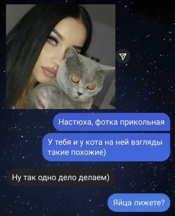 Настюха, фотка прикольная У тебя и у кота на ней взгляды такие похожие) Ну так одно дело делаем) Яйца лижете?