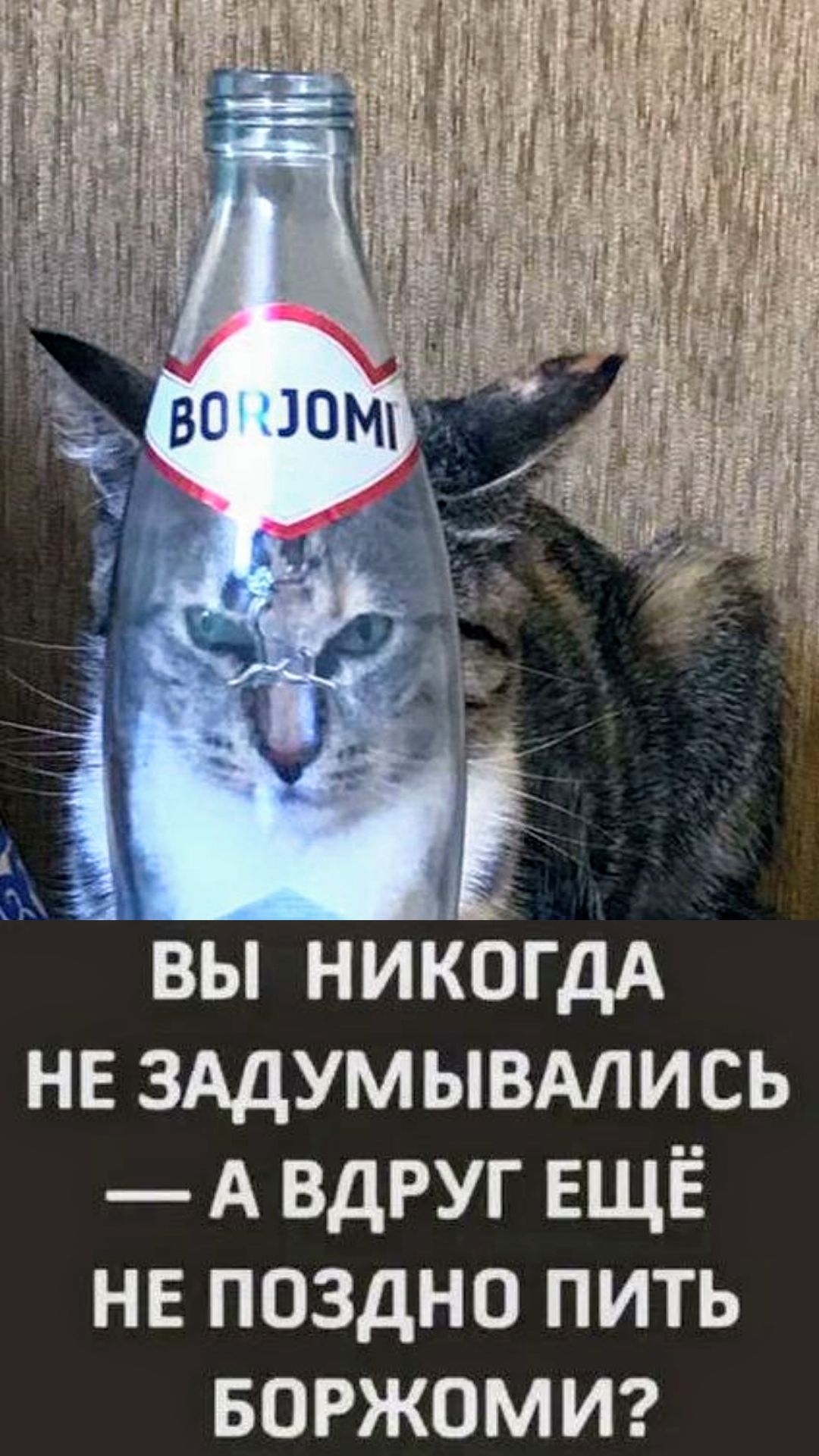 ВЫ НИКОГДА НЕ ЗАДУМЫВАЛИСЬ — А ВДРУГ ЕЩЁ НЕ ПОЗДНО ПИТЬ БОРЖОМИ?
