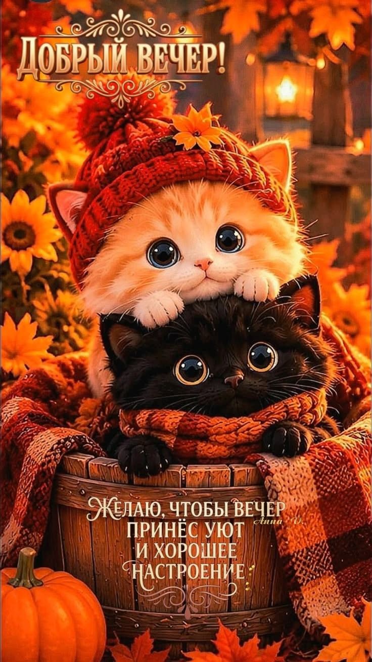 ДОБРЫЙ ВЕЧЕР! Желаю, чтобы вечер принёс уют и хорошее настроение