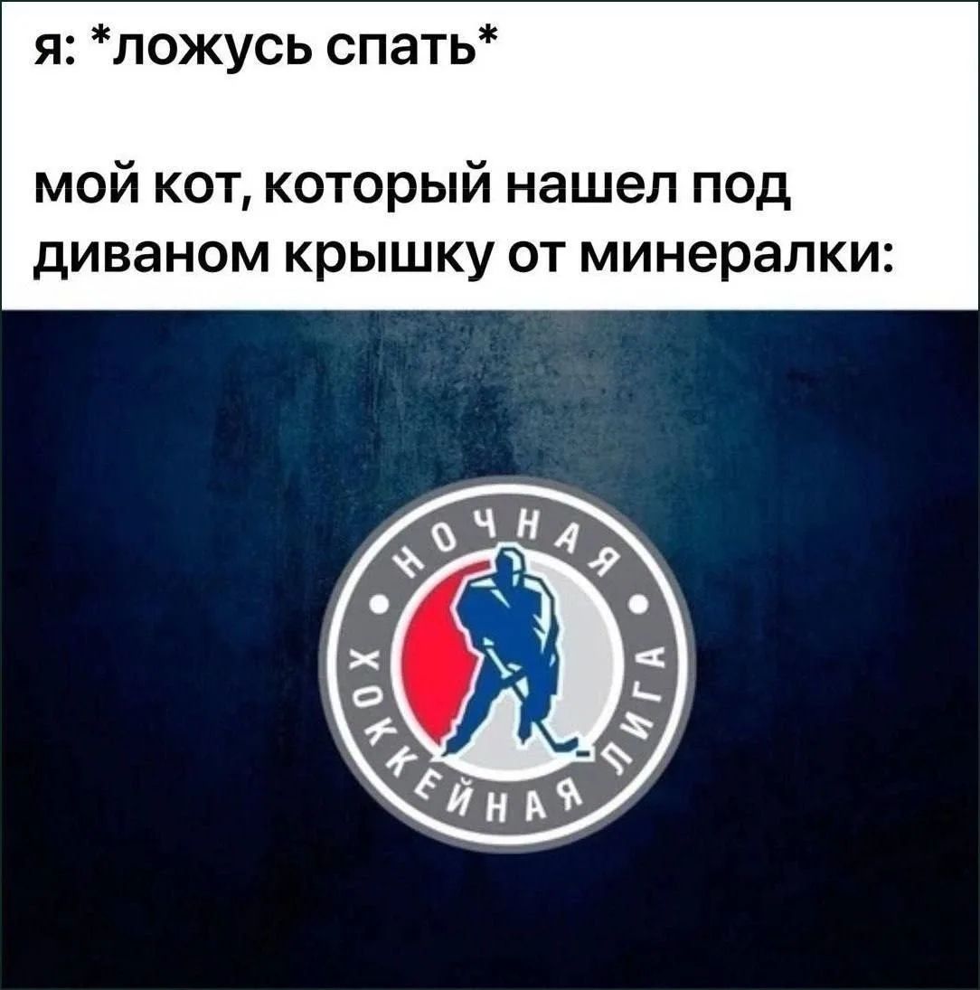 Я: *ложусь спать* мой кот, который нашел под диваном крышку от минералки: НОЧНАЯ ХОККЕЙНАЯ ЛИГА