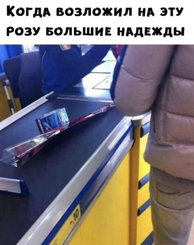 Когда возложил на эту розу большие надежды