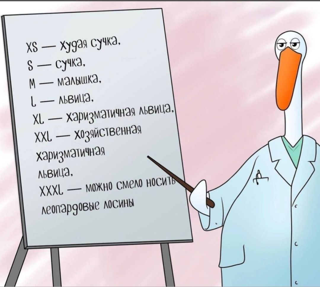 XS — худая сучка. S — сучка, M — малышка, L — львица, XL — харизматичная львица, XXL — хозяйственная харизматичная львица. XXXL — можно смело носить леопардовые лосины. Аист в халате указывает на доску.