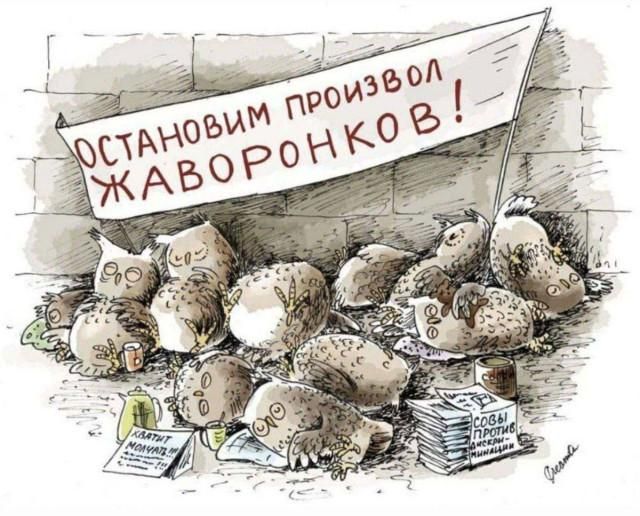 ОСТАНОВИМ ПРОИЗВОЛ ЖАВОРОНКОВ! ХВАТИТ МОЛЧАТЬ!!! СОВЫ ПРОТИВ ДИСКРИМИНАЦИИ