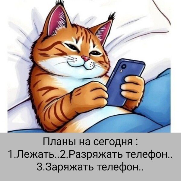 Планы на сегодня : 1.Лежать..2.Разряжать телефон.. 3.Заряжать телефон..