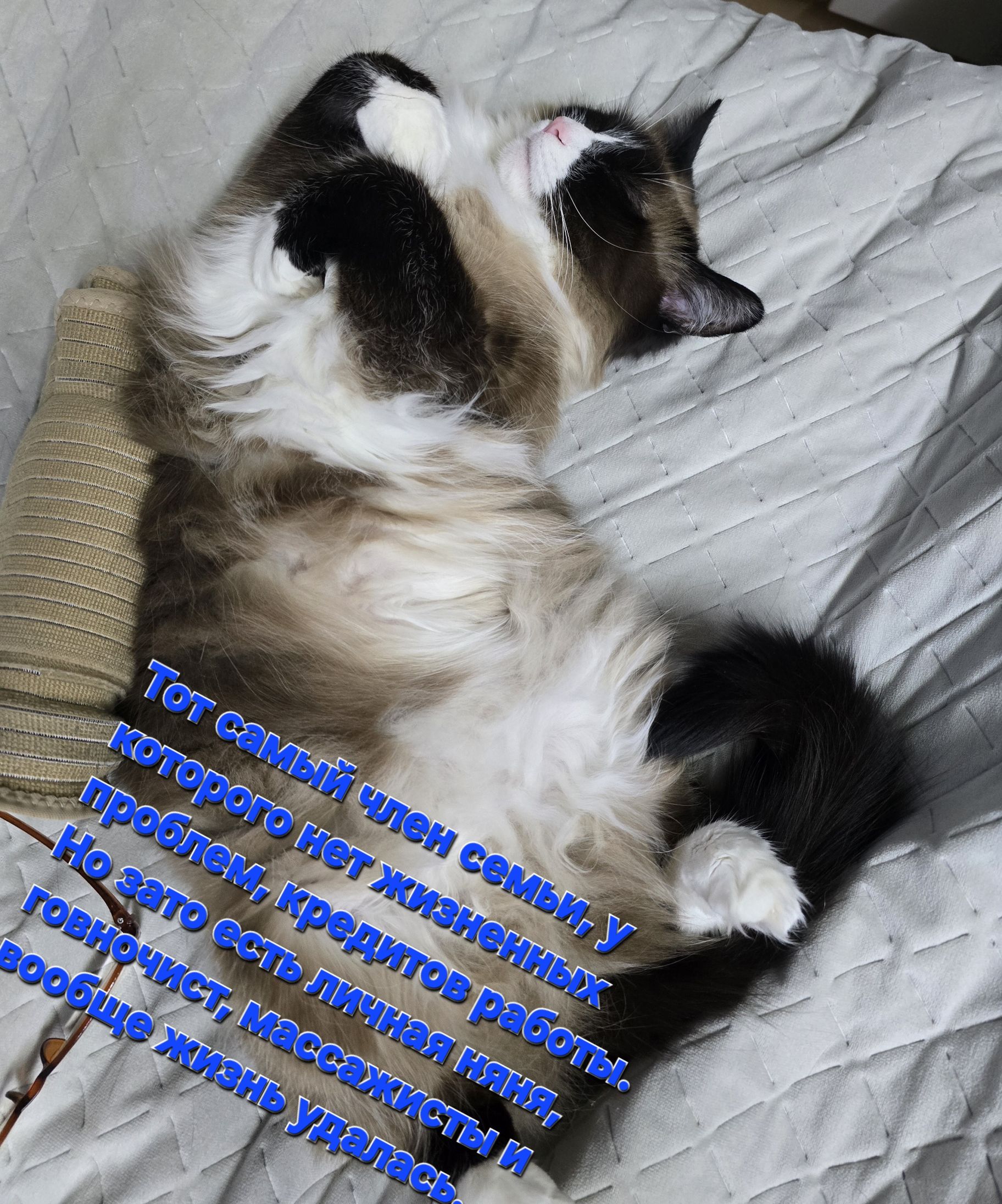 Тот самый член семьи, у которого нет жизненных проблем, кредитов работы. Но зато есть личная няня, говночист, массажисты и вообще жизнь удалась.