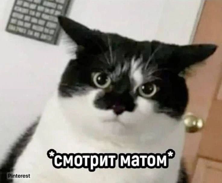*смотрит матом*