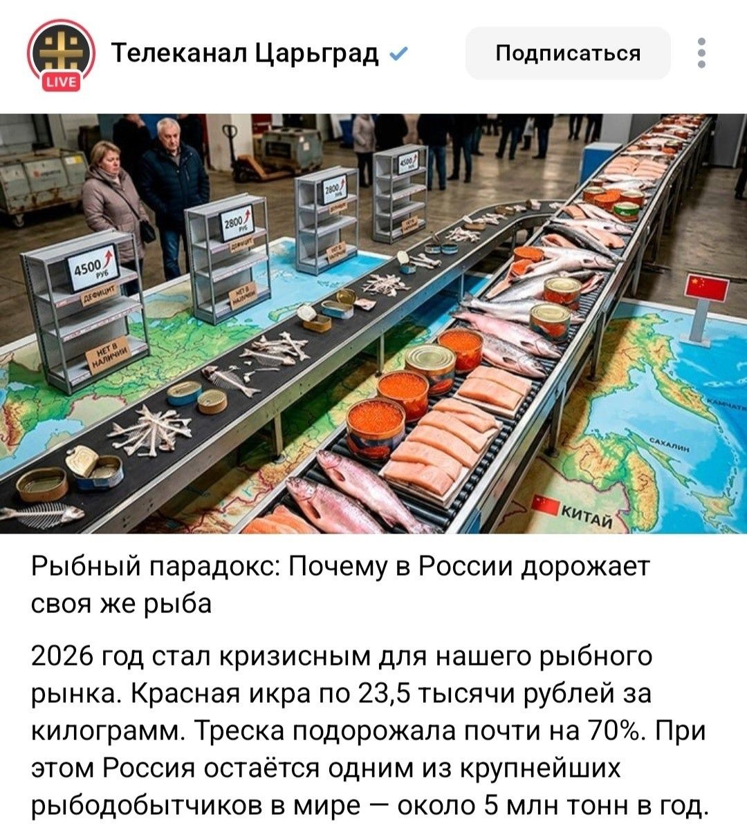Телеканал Царьград. Подписаться. Рыбный парадокс: Почему в России дорожает своя же рыба. 2026 год стал кризисным для нашего рыбного рынка. Красная икра по 23,5 тысячи рублей за килограмм. Треска подорожала почти на 70%. При этом Россия остаётся одним из крупнейших рыбодобытчиков в мире — около 5 млн тонн в год.