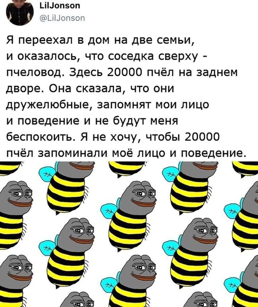 Я переехал в дом на две семьи, и оказалось, что соседка сверху - пчеловод. Здесь 20000 пчёл на заднем дворе. Она сказала, что они дружелюбные, запомнят мои лицо и поведение и не будут меня беспокоить. Я не хочу, чтобы 20000 пчёл запоминали моё лицо и поведение.