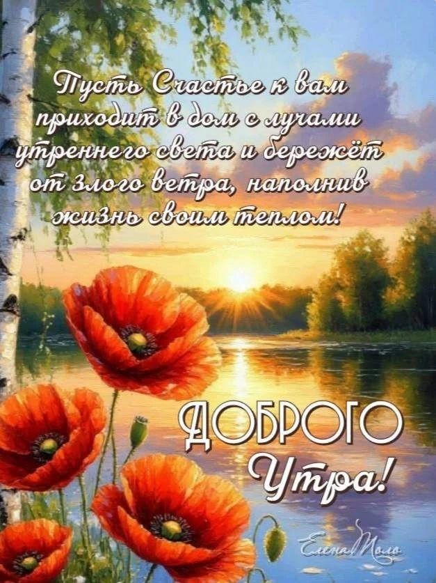 Пусть Счастье к вам приходит в дом с лучами утреннего света и бережёт от злого ветра, наполнив жизнь своим теплом! ДОБРОГО Утра! Елена Мало