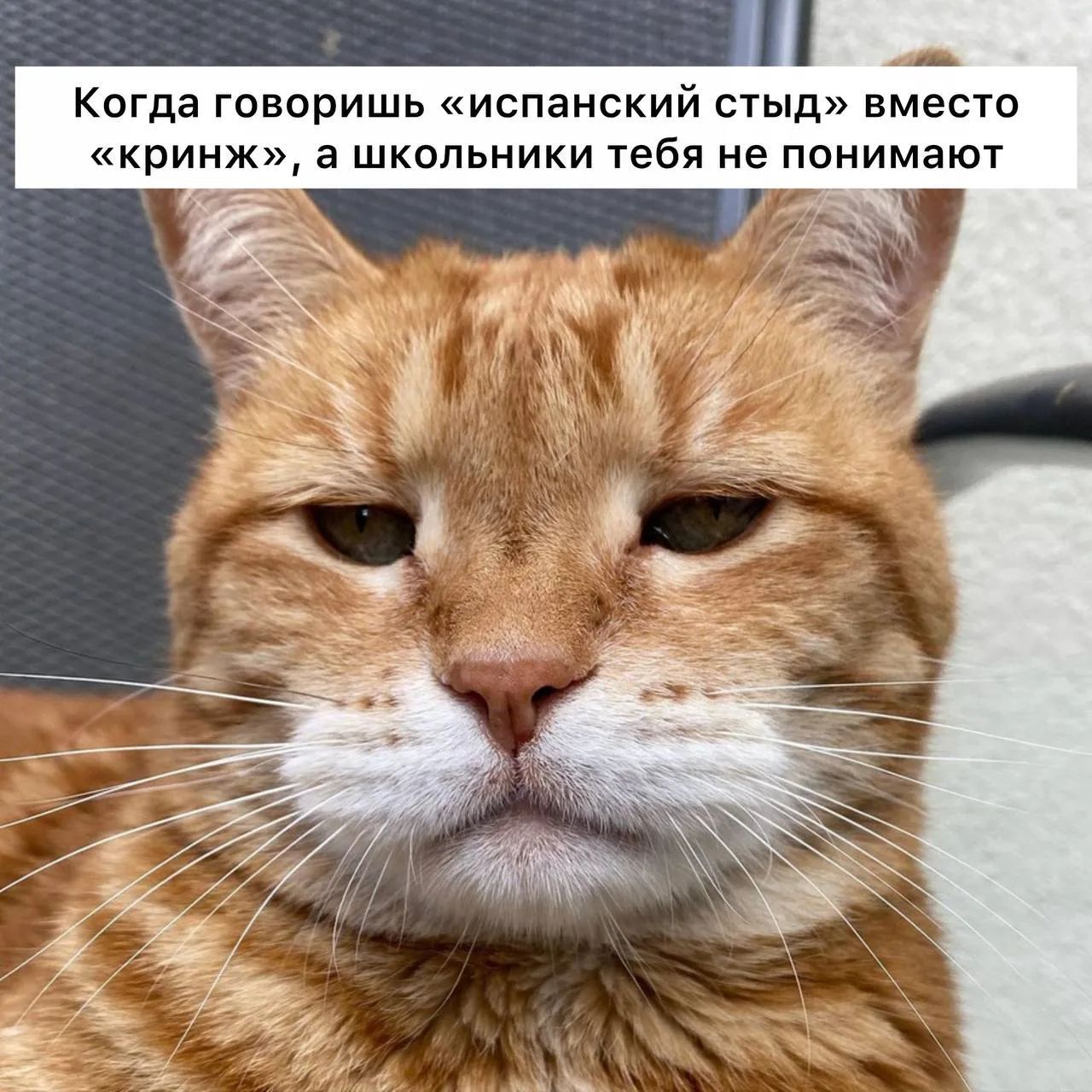 Когда говоришь «испанский стыд» вместо «кримж», а школьники тебя не понимают