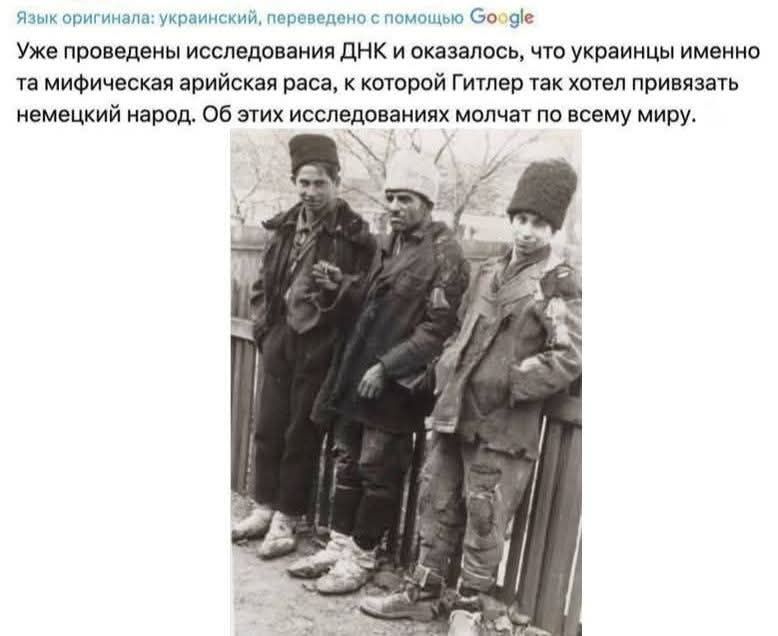 Язык оригинала: украинский, переведено с помощью Google. Уже проведены исследования ДНК и оказалось, что украинцы именно та мифическая арийская раса, к которой Гитлер так хотел привязать немецкий народ. Об этих исследованиях молчат по всему миру.