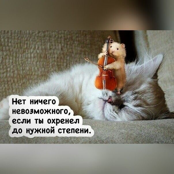 Нет ничего невозможного, если ты охренел до нужной степени.