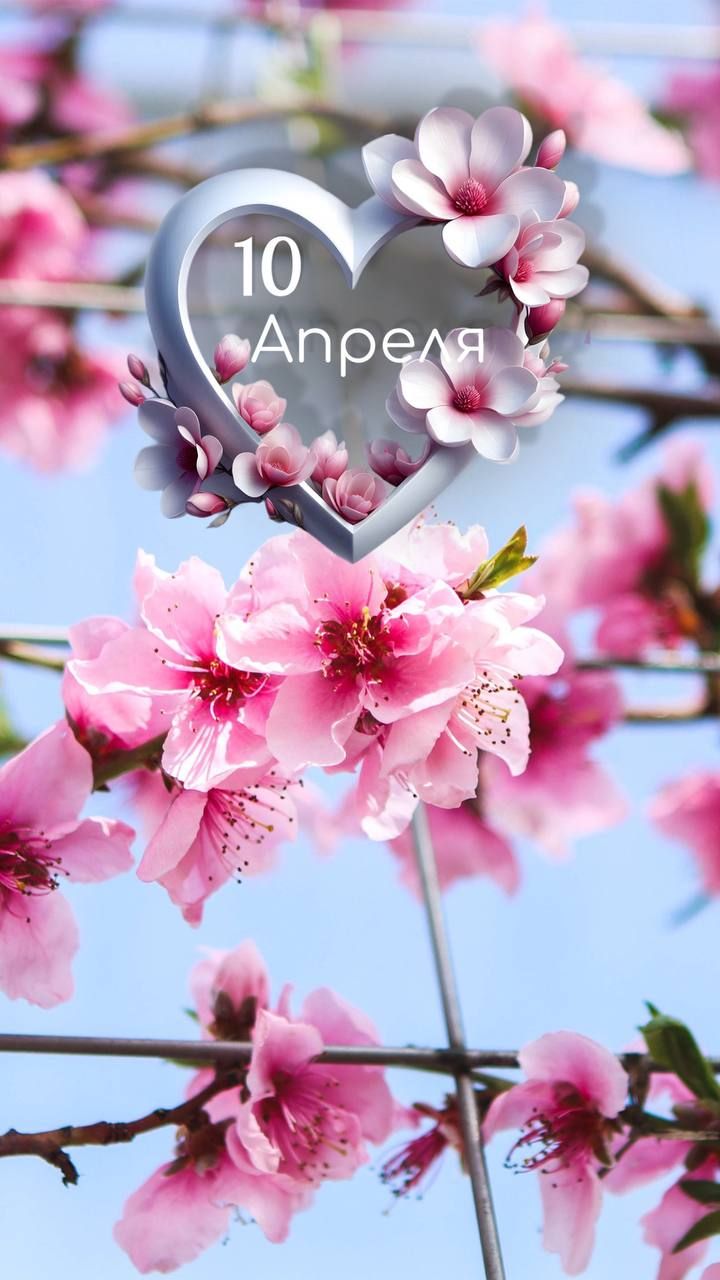 10 Апреля
