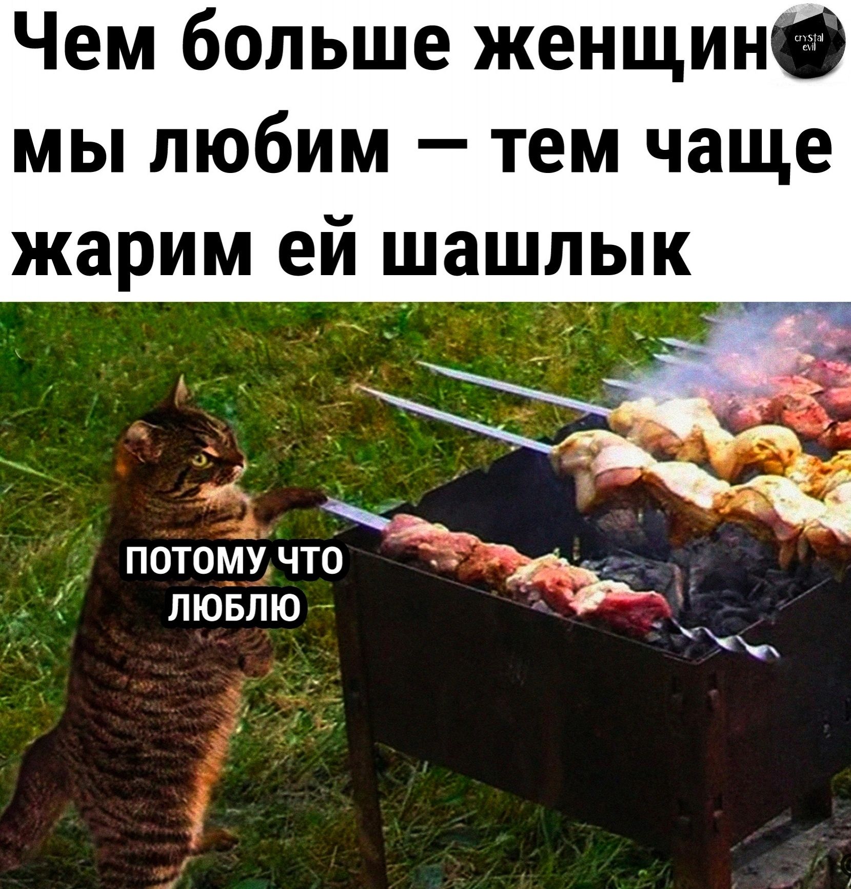 Чем больше женщин мы любим — тем чаще жарим ей шашлык. Потому что люблю.