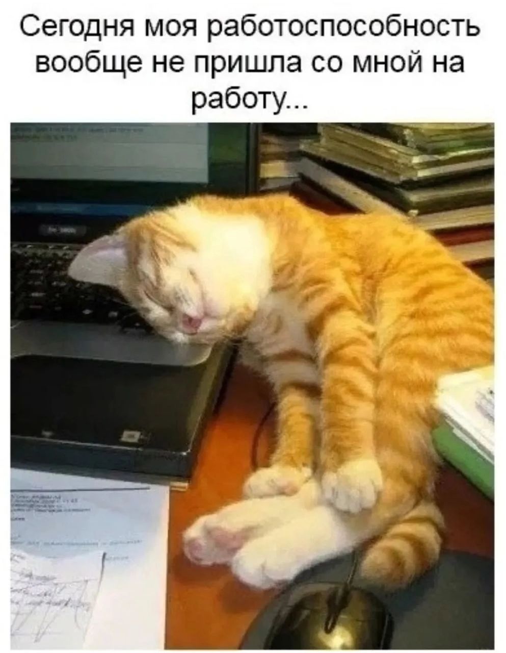 Сегодня моя работоспособность вообще не пришла со мной на работу...