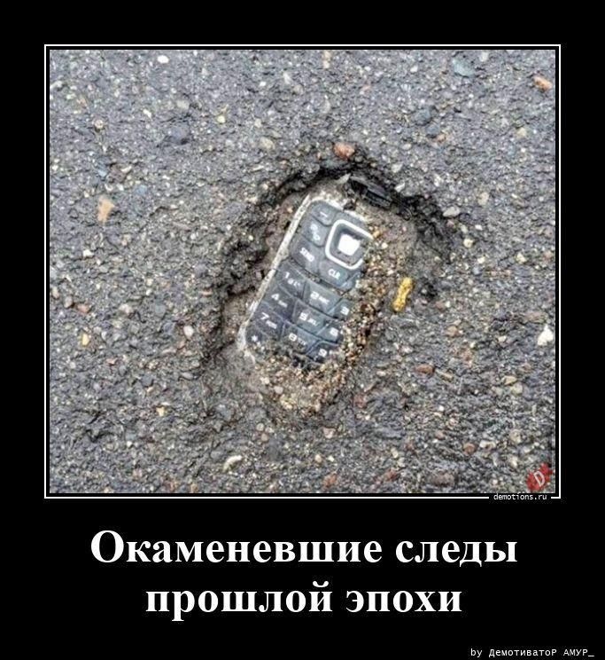 Окаменевшие следы прошлой эпохи