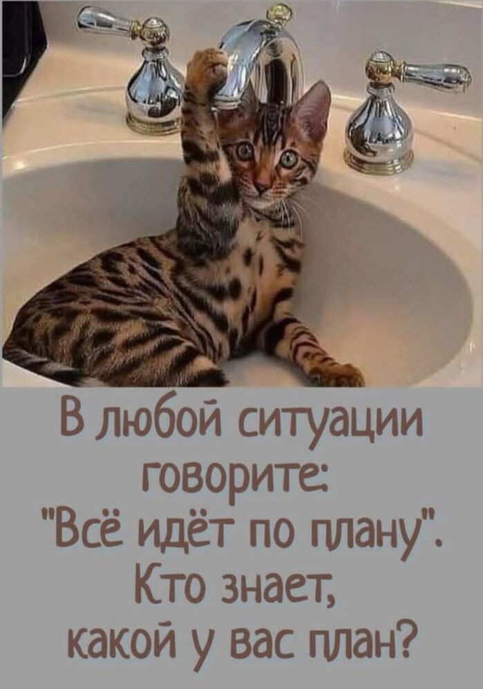 В любой ситуации говорите: 