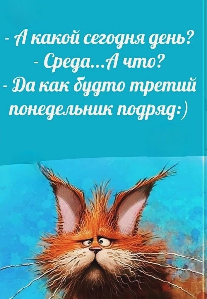 А какой сегодня день? Среда... А что? Да как будто третий понедельник подряд:)