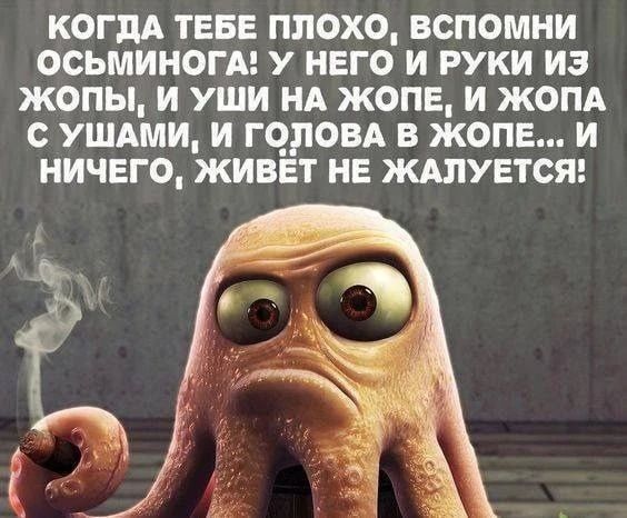 КОГДА ТЕБЕ ПЛОХО, ВСПОМНИ ОСЬМИНОГА! У НЕГО И РУКИ ИЗ ЖОПЫ, И УШИ НА ЖОПЕ, И ЖОПА С УШАМИ, И ГОЛОВА В ЖОПЕ... И НИЧЕГО, ЖИВЁТ НЕ ЖАЛУЕТСЯ!