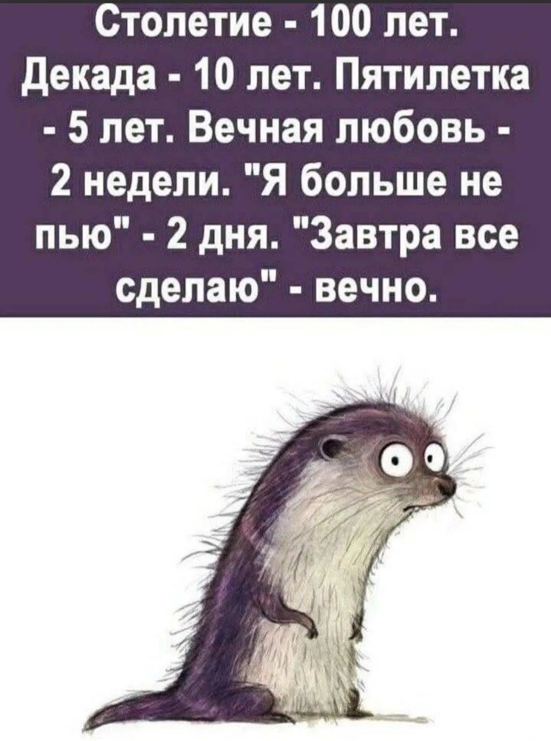 Столетие - 100 лет. Декада - 10 лет. Пятилетка - 5 лет. Вечная любовь - 2 недели. Я больше не пью - 2 дня. Завтра все сделаю - вечно.